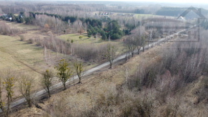 Działka Sprzedaż Oddział