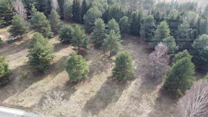 Działka Sprzedaż Ojrzanów