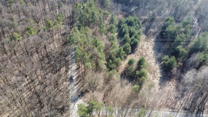 Działka Sprzedaż Ojrzanów Krakowiańska