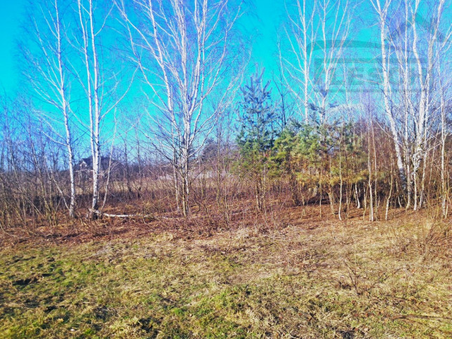 Działka Sprzedaż Walendów 1