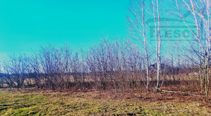 Działka Sprzedaż Walendów 2