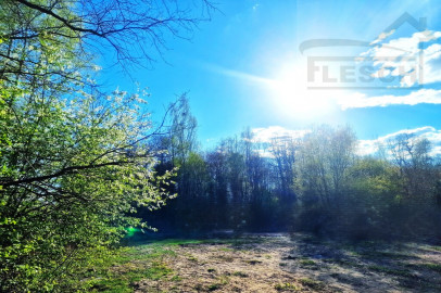 Działka Sprzedaż Owczarnia
