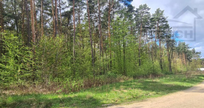 Działka Sprzedaż Sękocin-Las Iglasta
