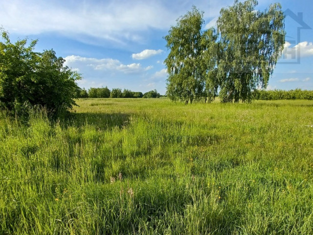 Działka Sprzedaż Wola Krakowiańska Transportowa