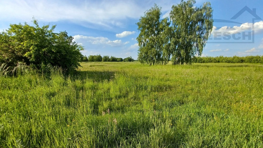 Działka Sprzedaż Wola Krakowiańska Transportowa