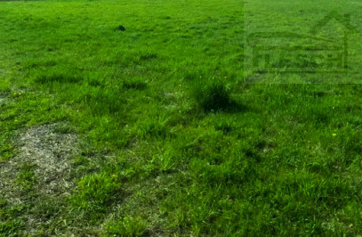 Działka Sprzedaż Wolica