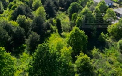 Działka Sprzedaż Wolica